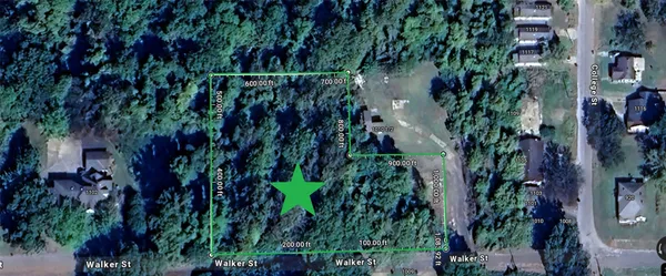 a view of a flower in a garden