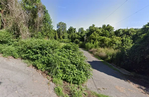 a view of a garden with pathway