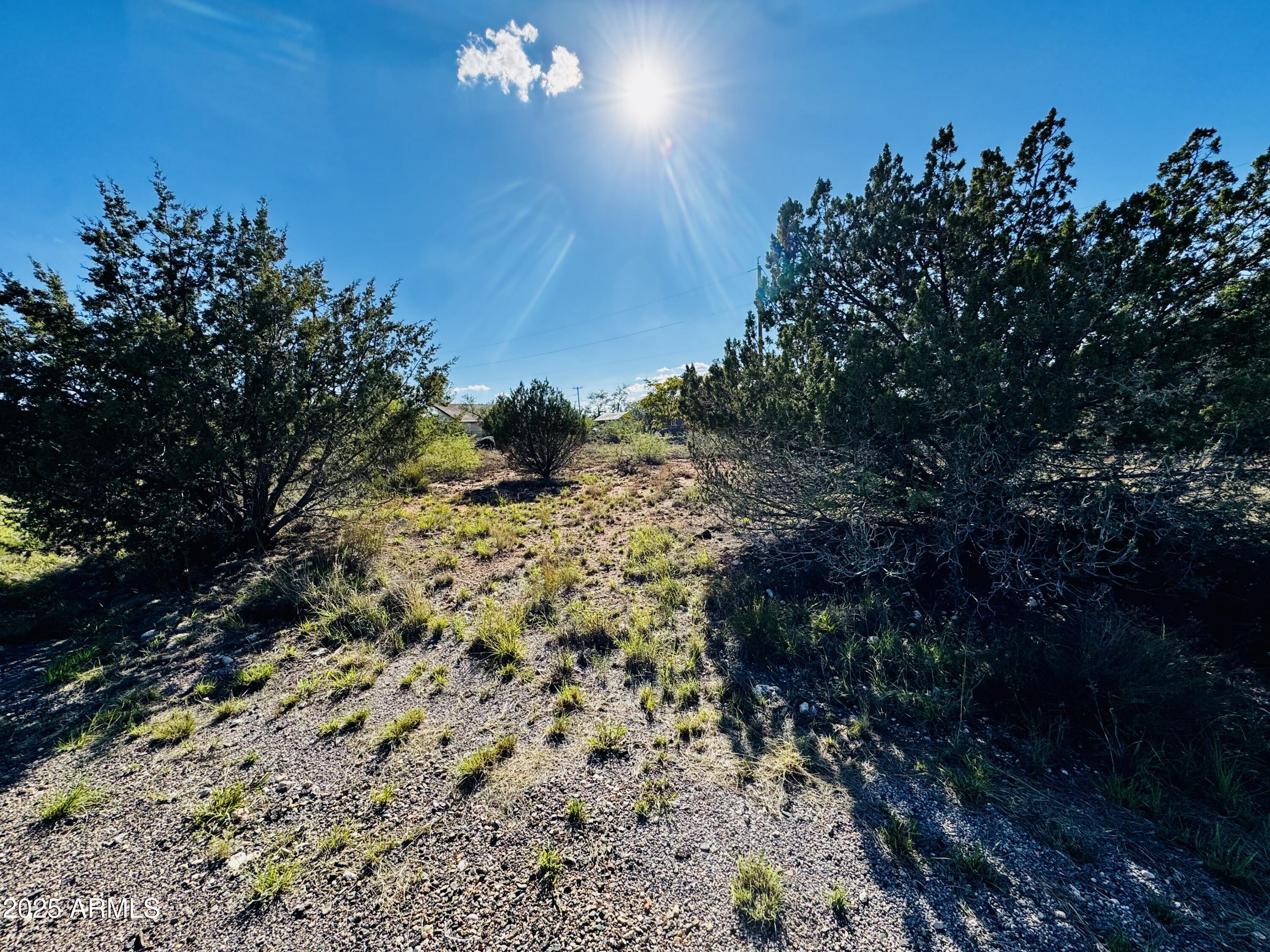 4545 East Geronimo Road, Unit 354 AND 353 Rimrock, AZ 86335 - Photo 11 of 13 Gallery Image 11