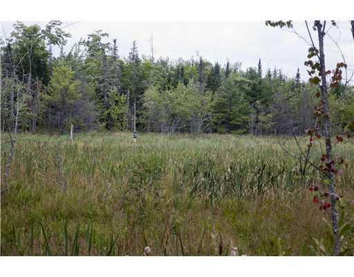 44 Sunken Bridge Road Winterport, ME 04496 - Photo 16 of 17 View. Natural bog across the street...
