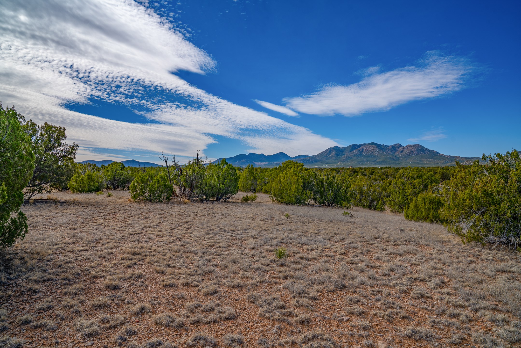 49-65 Blue Agave/grenfell Ranch Cerrillos, NM 87010 - Photo 3 of 36