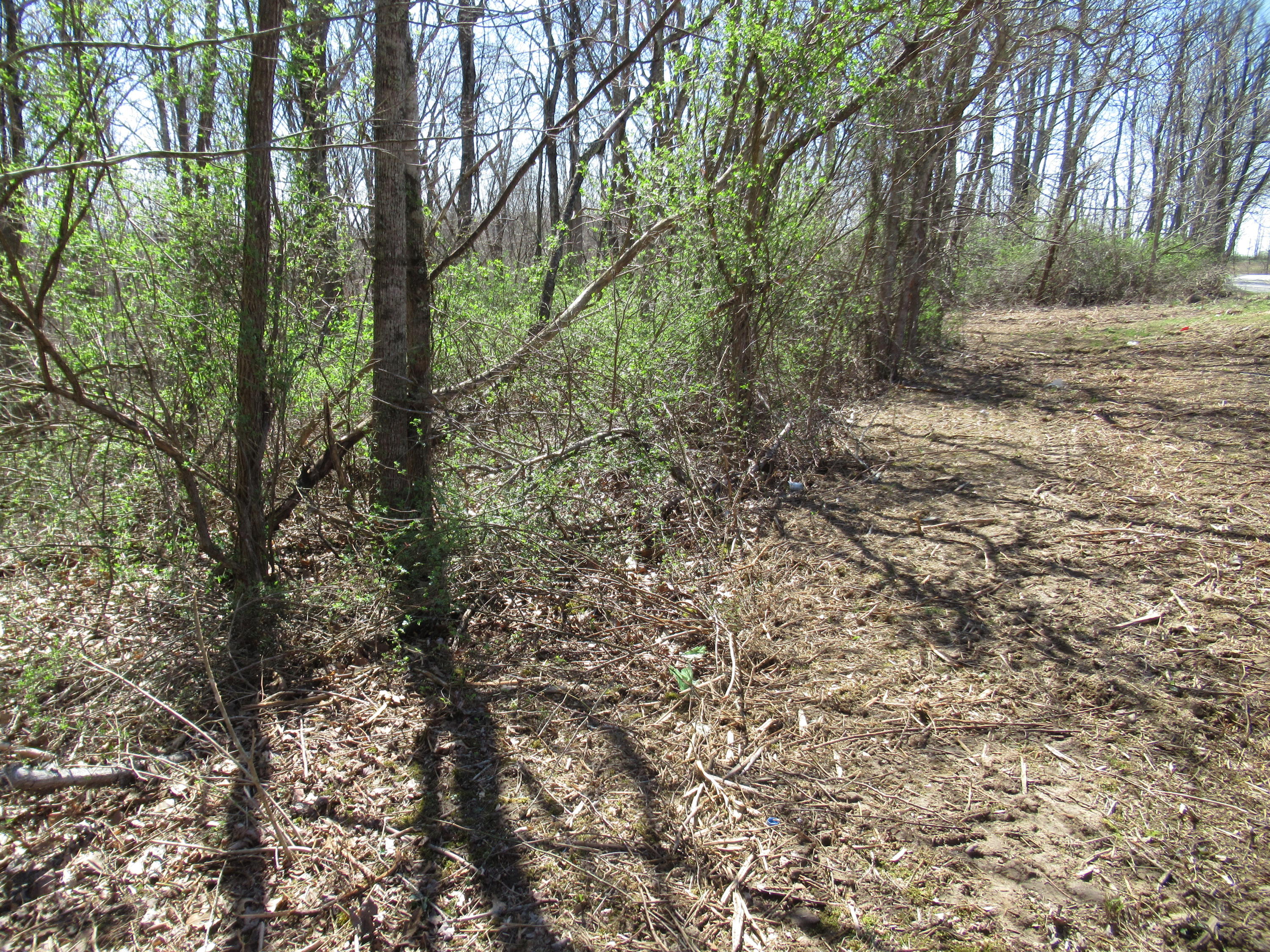 Elk Knob Road Hinton, WV 25951 - Photo 12 of 15 Gallery Image 12