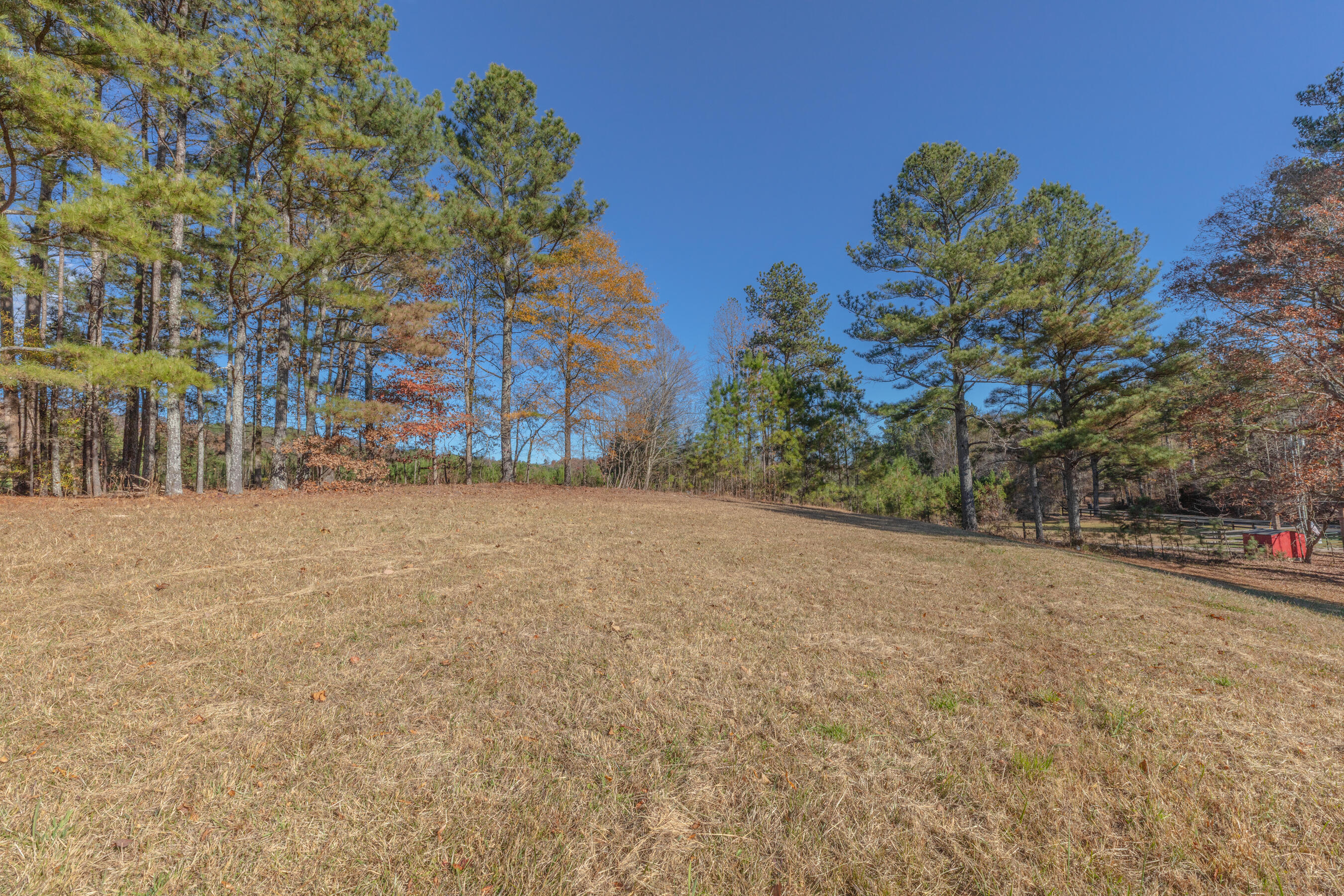 1144 Ridgeway Road LaFayette, GA 30728 - Photo 24 of 81 1144 Ridgeway HD-27