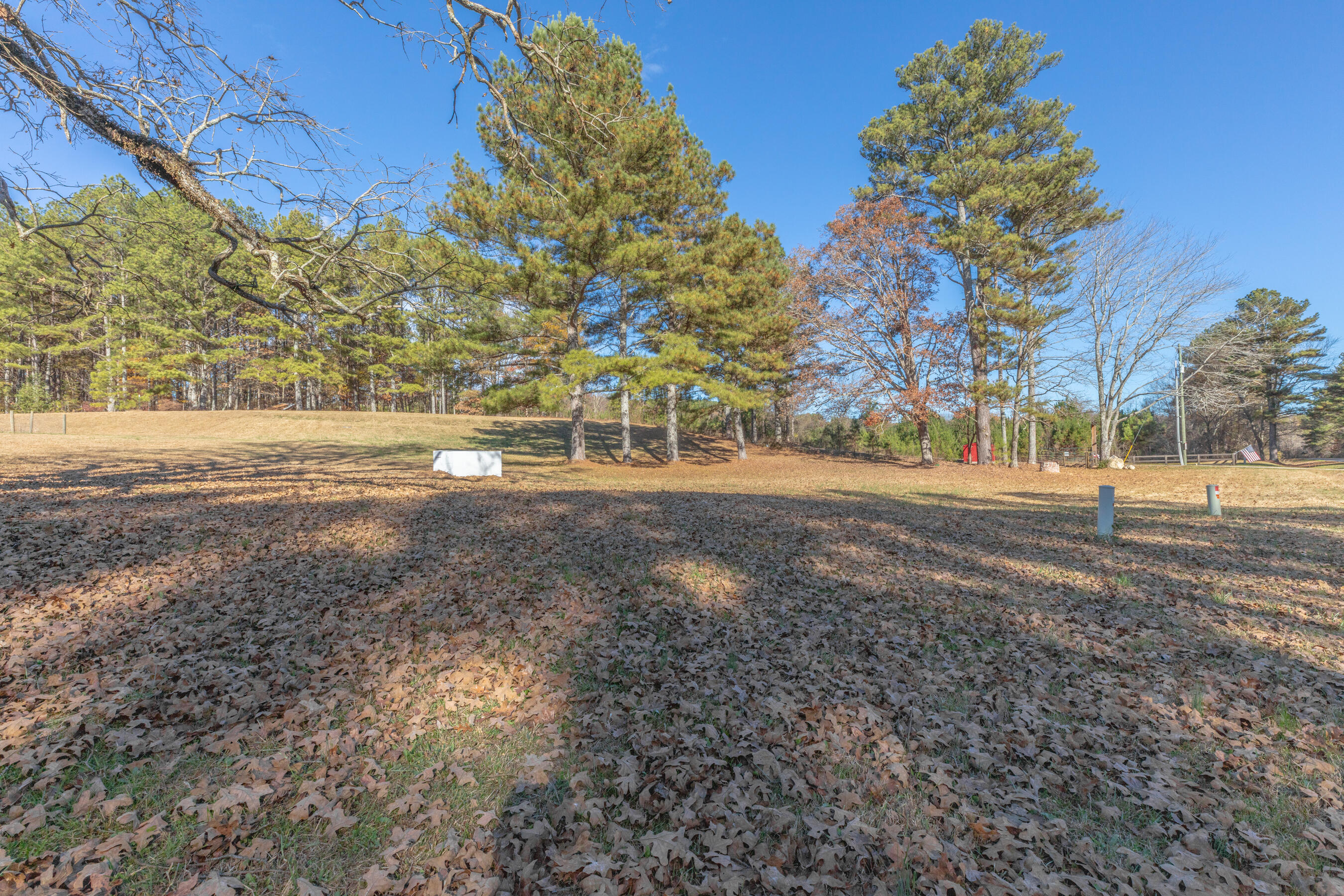 1144 Ridgeway Road LaFayette, GA 30728 - Photo 25 of 81 Front Yard
