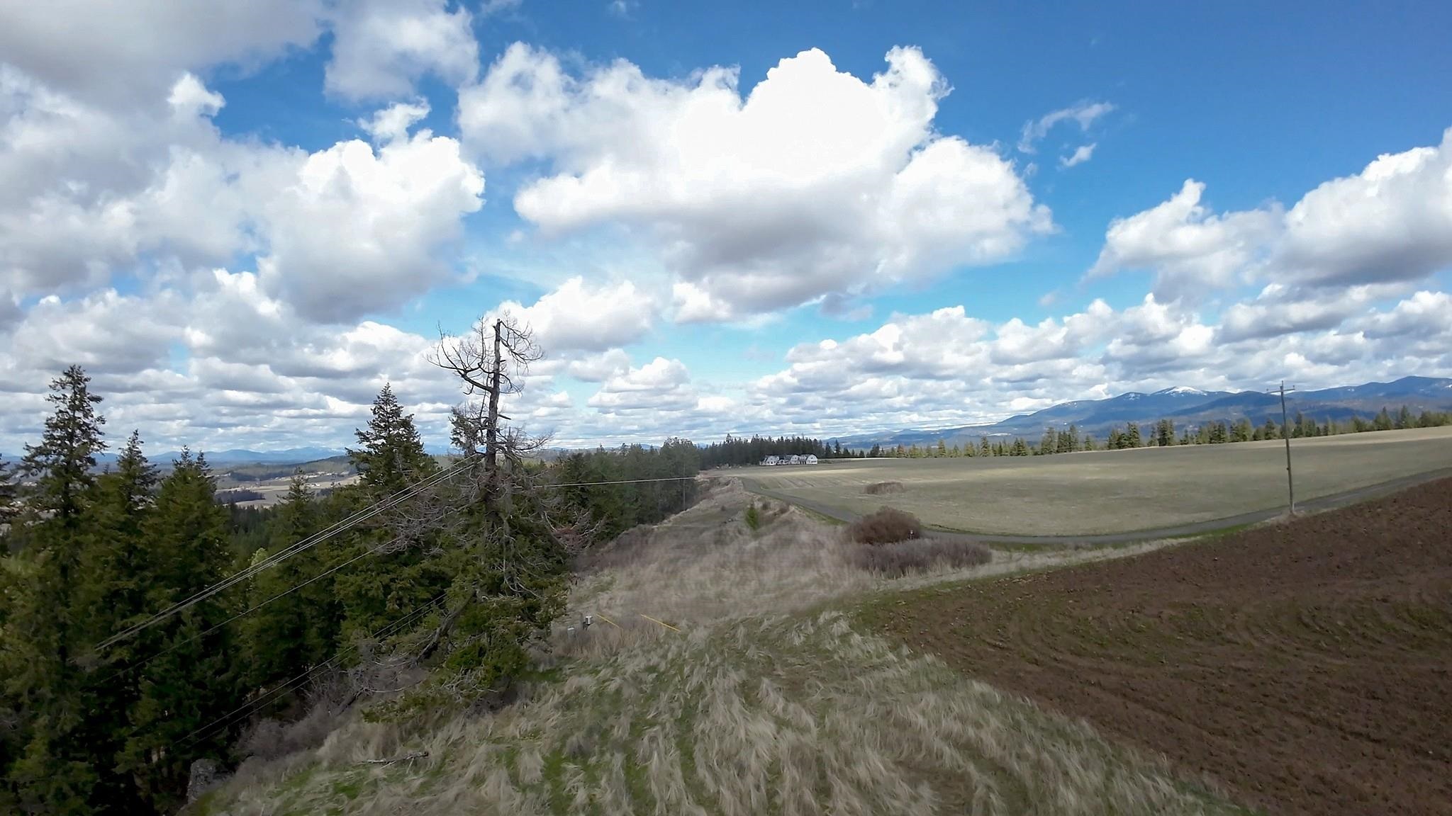 8305 East Greenbluff Road Colbert, WA 99005 - Photo 27 of 27