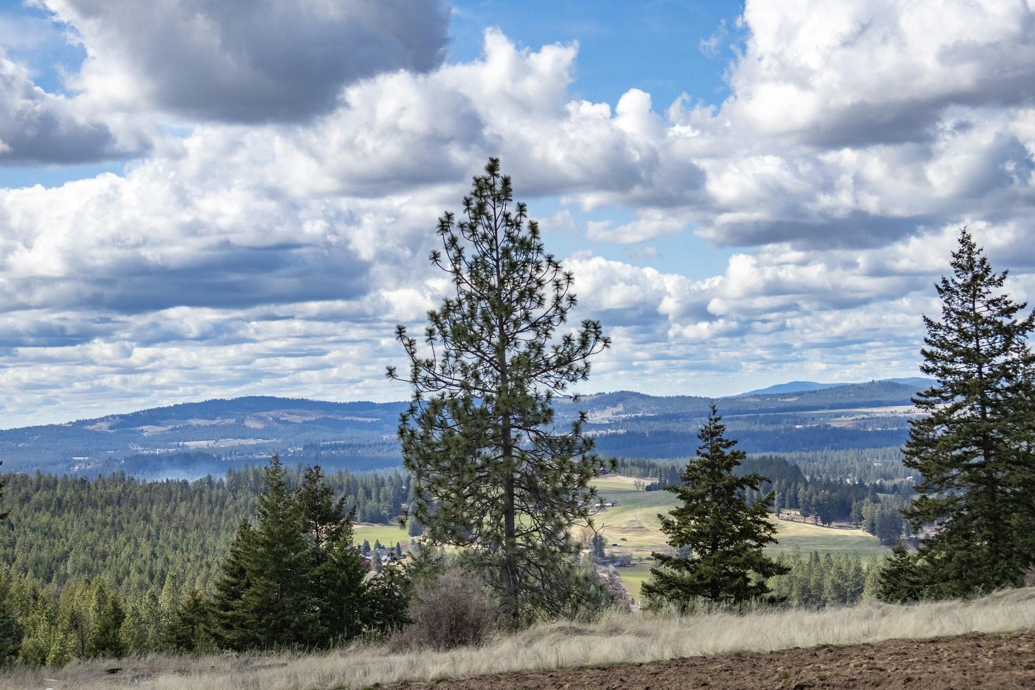 8305 East Greenbluff Road Colbert, WA 99005 - Photo 10 of 27