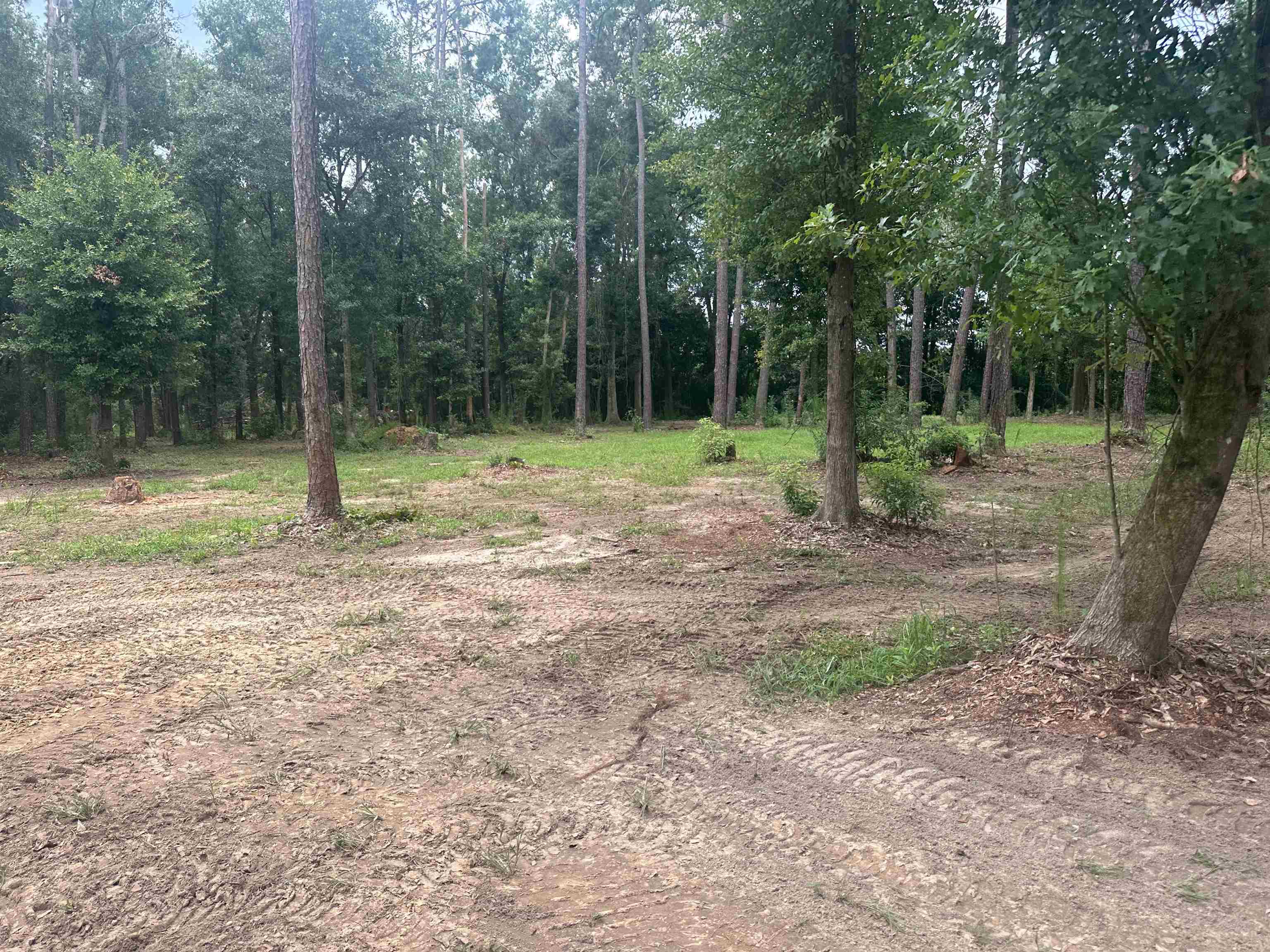 23040 Forland Road Silverhill, AL 36576 - Photo 9 of 13 View