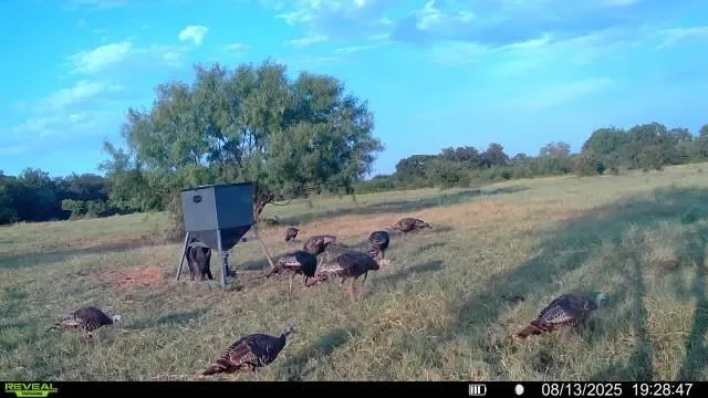 a view of a outdoor space