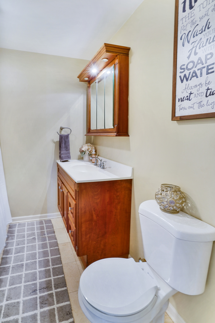 606 St Charles Road Glen Ellyn, IL 60137 - Photo 22 of 28 a bathroom with a sink a toilet a mirror and shower