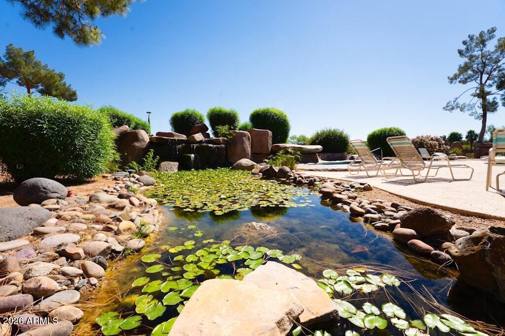 4303 East Cactus Road, Unit 403 Phoenix, AZ 85032 - Photo 35 of 37 a view of a garden with an outdoor space