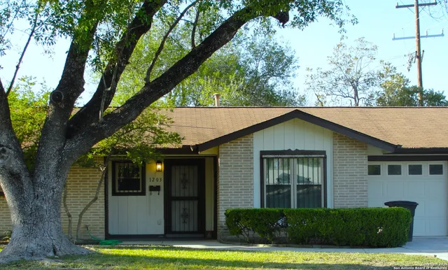 a view of a house with a yard plants and large tree
