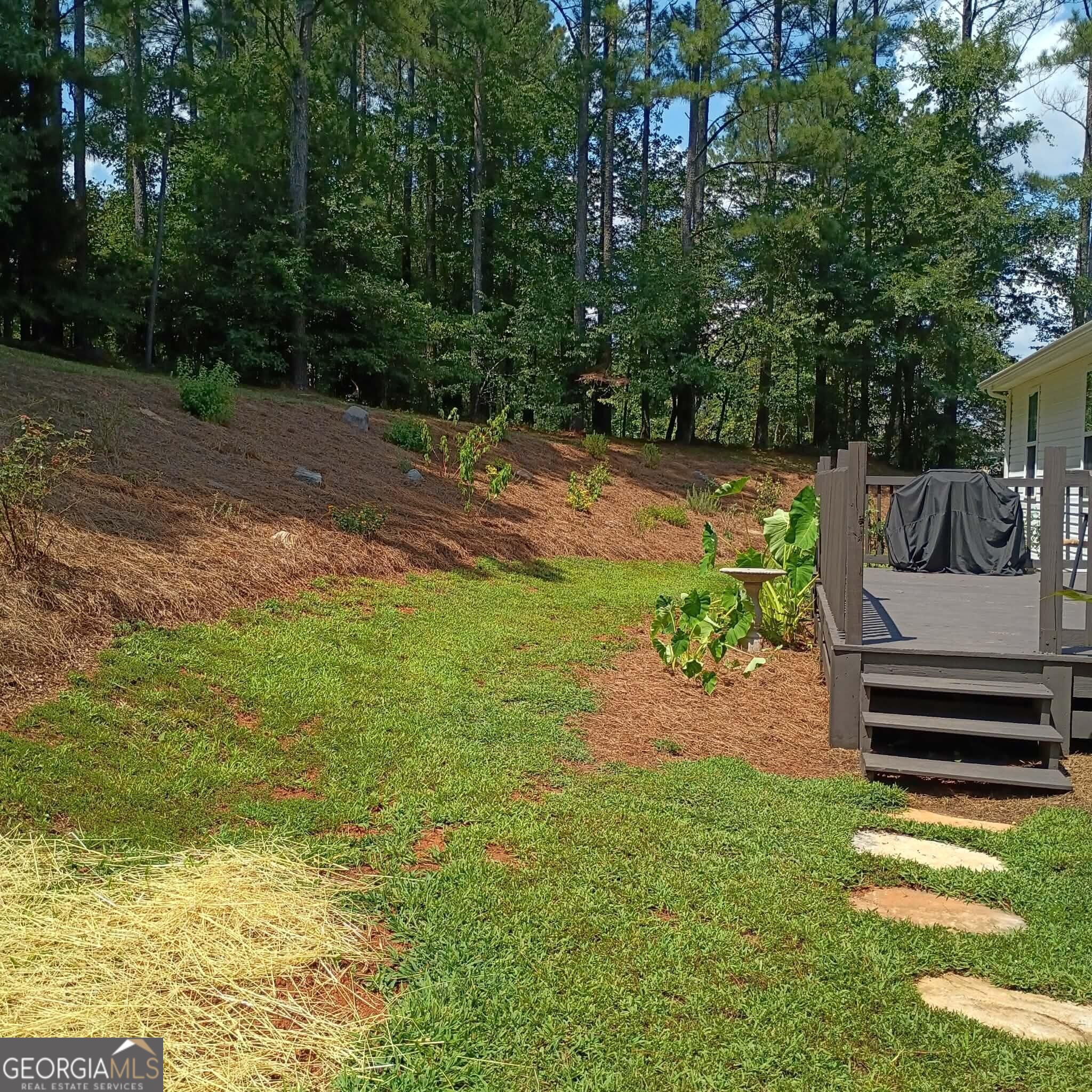 455 Bell Loop Chatsworth, GA 30705 - Photo 4 of 18 Gallery Image 4