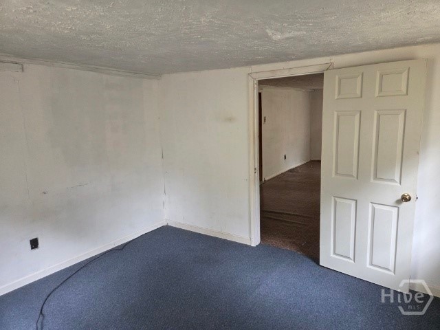 247 Old Gress Island Road Midway, GA 31320 - Photo 9 of 15