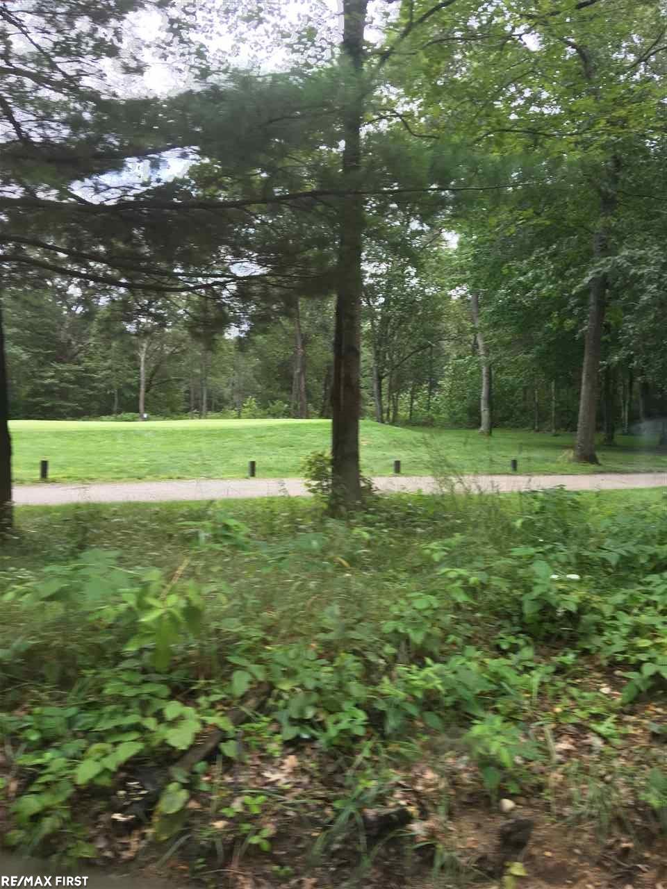 3916 South Poor Farm Road Greenbush, MI 48738 - Photo 23 of 35 Gallery Image 23