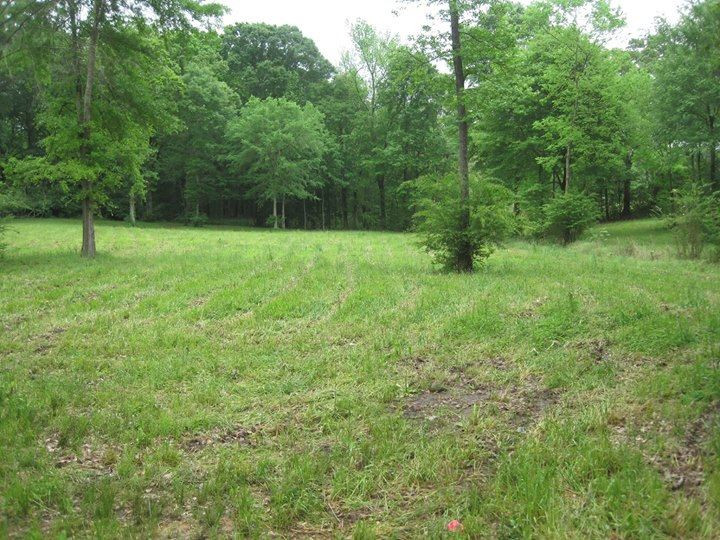 128 Corley Road Brandon, MS 39042 - Photo 26 of 34 Photo 26