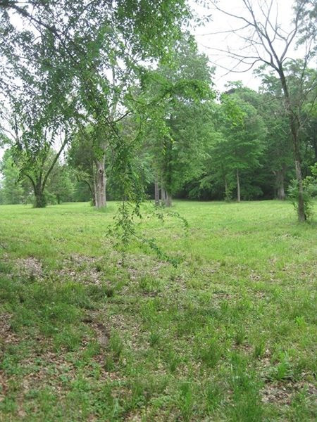 128 Corley Road Brandon, MS 39042 - Photo 32 of 34 Photo 32