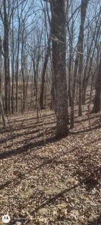 $35,000 | 1 Ridge Cliff Drive, Unit 49, Monteagle, TN 37356