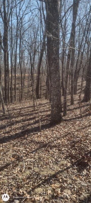 1 Ridge Cliff Drive, Unit 49 Monteagle, TN 37356 - Photo 1 of 8 1000021383