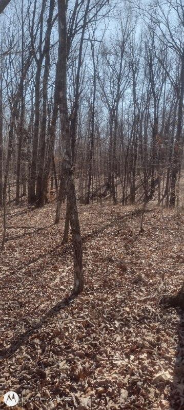 1 Ridge Cliff Drive, Unit 49 Monteagle, TN 37356 - Photo 2 of 8 1000021382