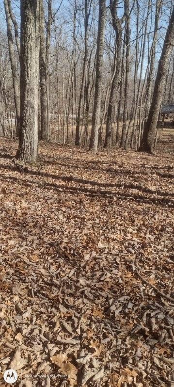 1 Ridge Cliff Drive, Unit 49 Monteagle, TN 37356 - Photo 3 of 8 1000021381