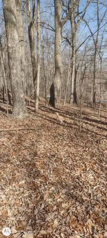 1 Ridge Cliff Drive, Unit 49 Monteagle, TN 37356 - Photo 4 of 8 1000021380