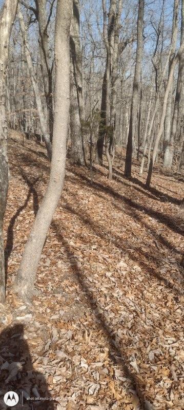 1 Ridge Cliff Drive, Unit 49 Monteagle, TN 37356 - Photo 5 of 8 1000021379