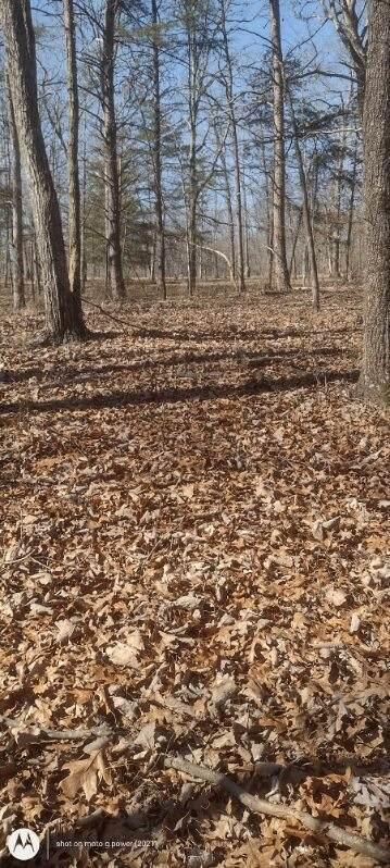 1 Ridge Cliff Drive, Unit 49 Monteagle, TN 37356 - Photo 6 of 8 1000021378