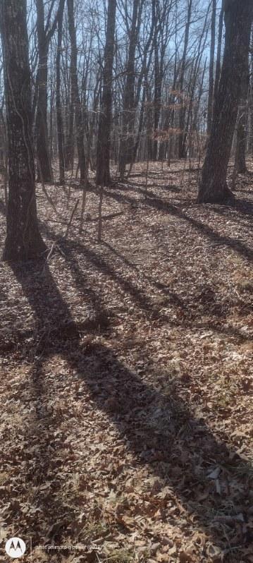 1 Ridge Cliff Drive, Unit 49 Monteagle, TN 37356 - Photo 8 of 8 1000021376