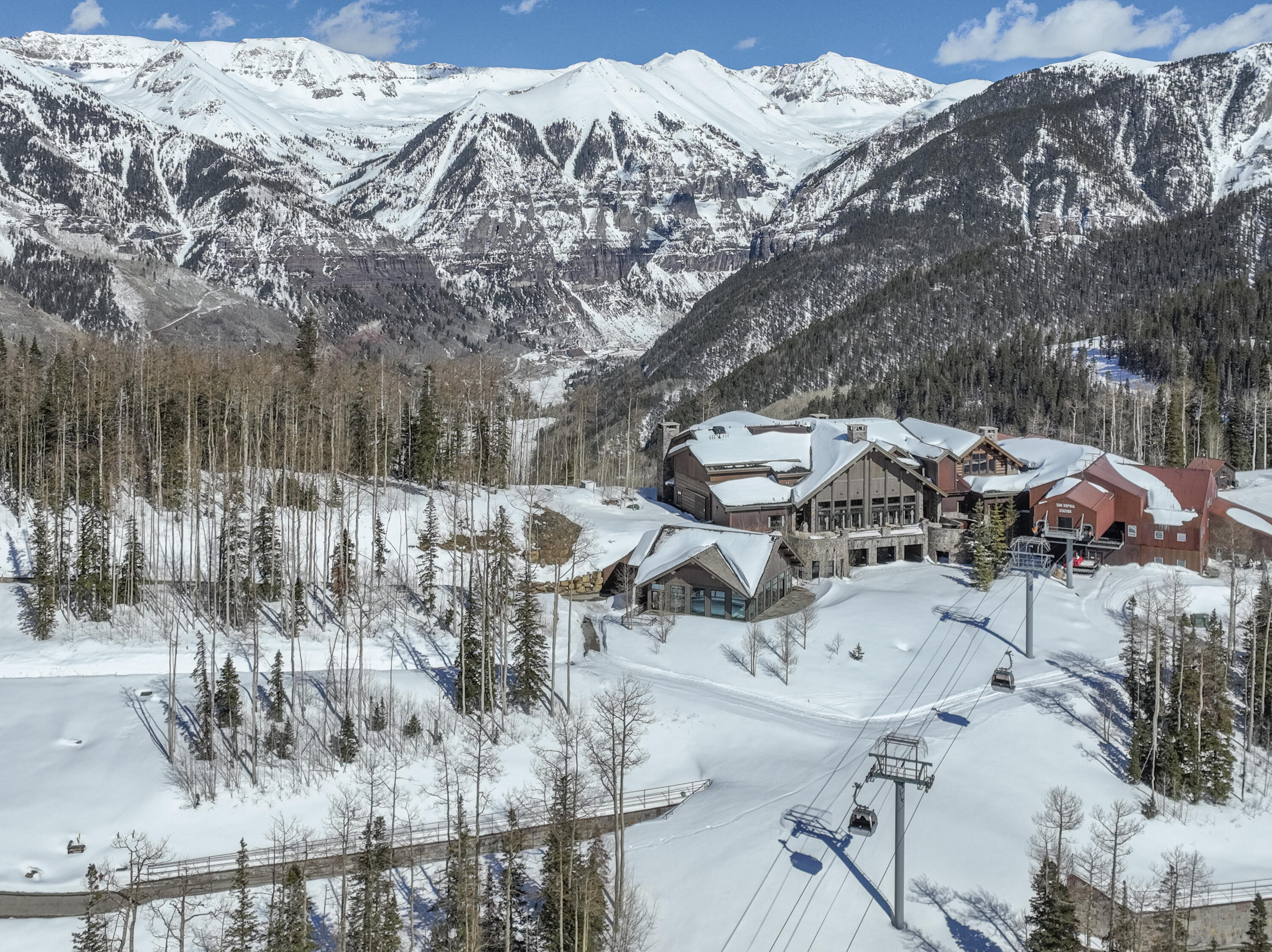 11 Coonskin Ridge Lane Mountain Village, CO 81435 - Photo 12 of 19 a view of a yard with a large tree