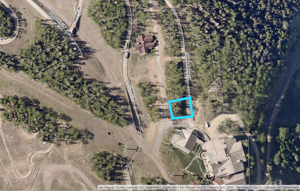 11 Coonskin Ridge Lane Mountain Village, CO 81435 - Photo 14 of 19