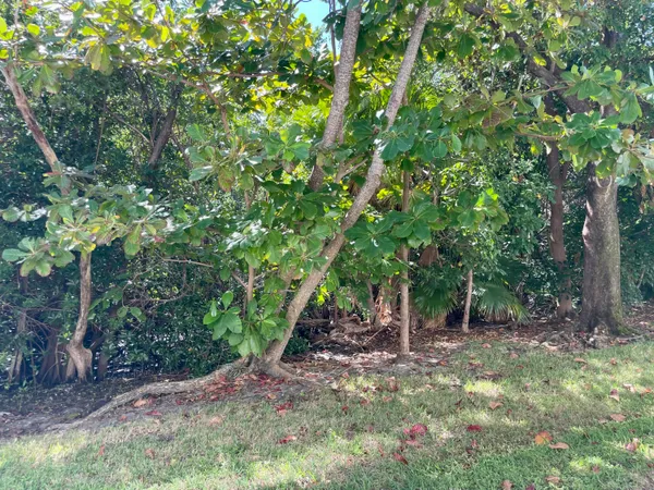 $2,000 | 4501 South Ocean Boulevard, Unit E5, Lantana, FL 33480