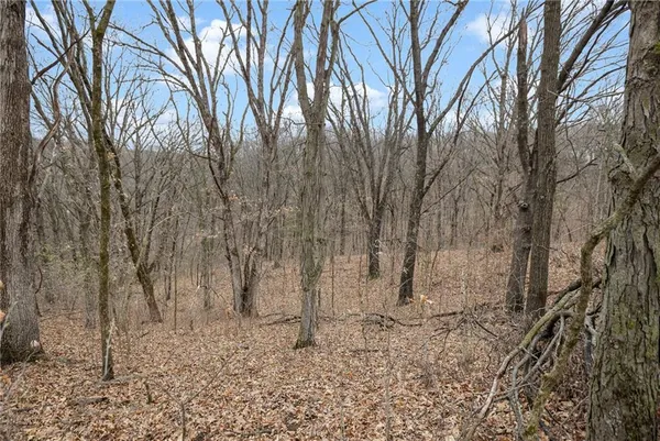 $189,900 | 13644 Quince Trail, Livonia, MO 63551