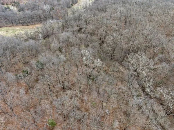 $189,900 | 13644 Quince Trail, Livonia, MO 63551