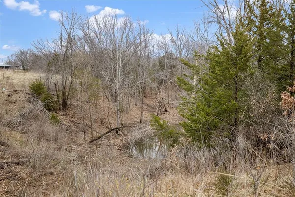 $189,900 | 13644 Quince Trail, Livonia, MO 63551