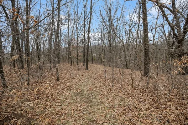 $189,900 | 13644 Quince Trail, Livonia, MO 63551