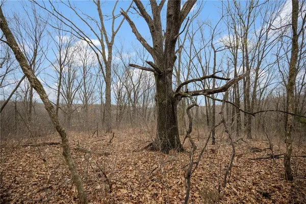 $189,900 | 13644 Quince Trail, Livonia, MO 63551