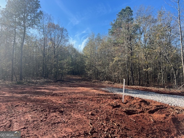 144 Berry Road Barnesville, GA 30204 - Photo 3 of 4