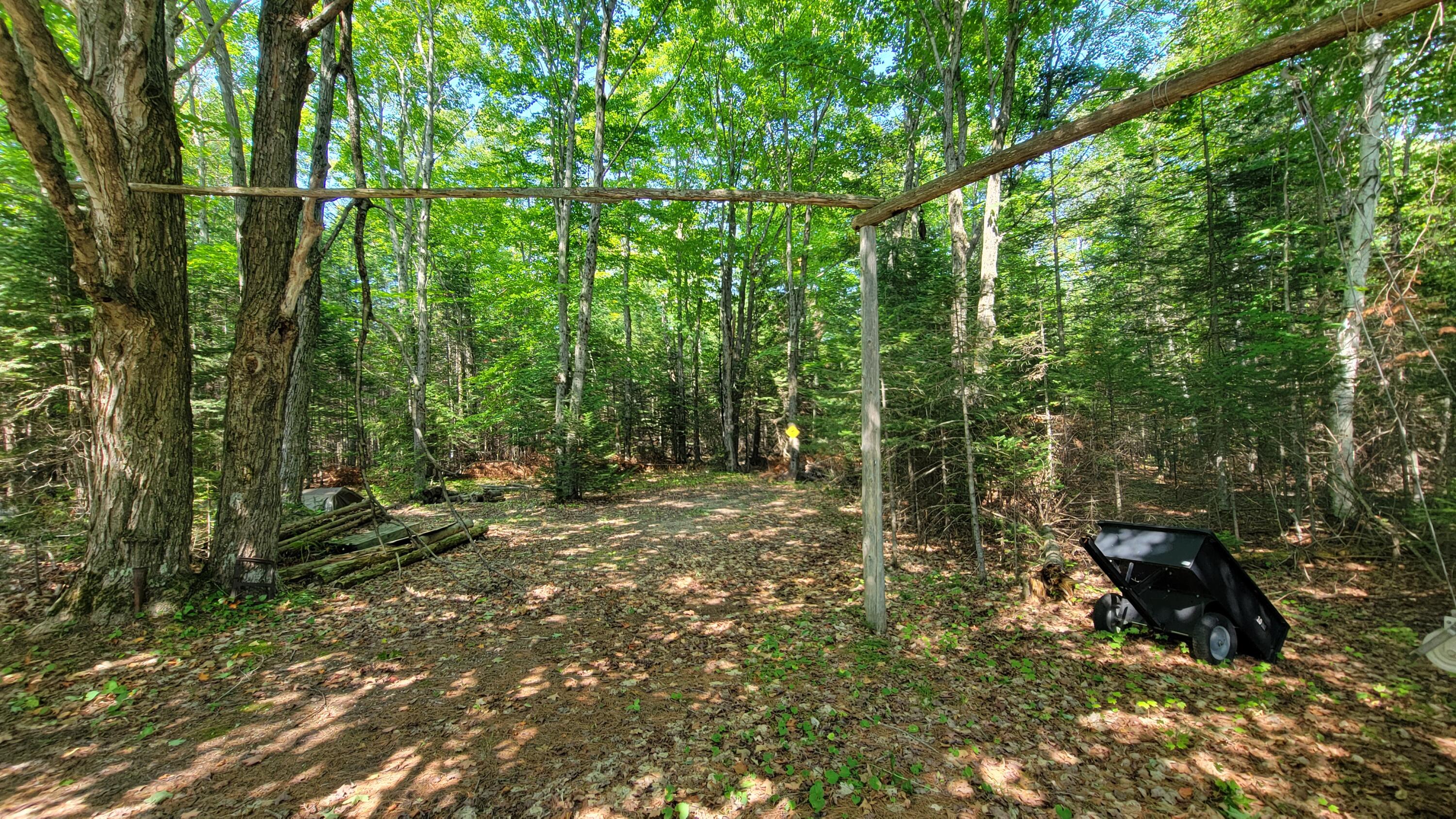 4148 Black Point Road Moran, MI 49760 - Photo 8 of 41 Gallery Image 8