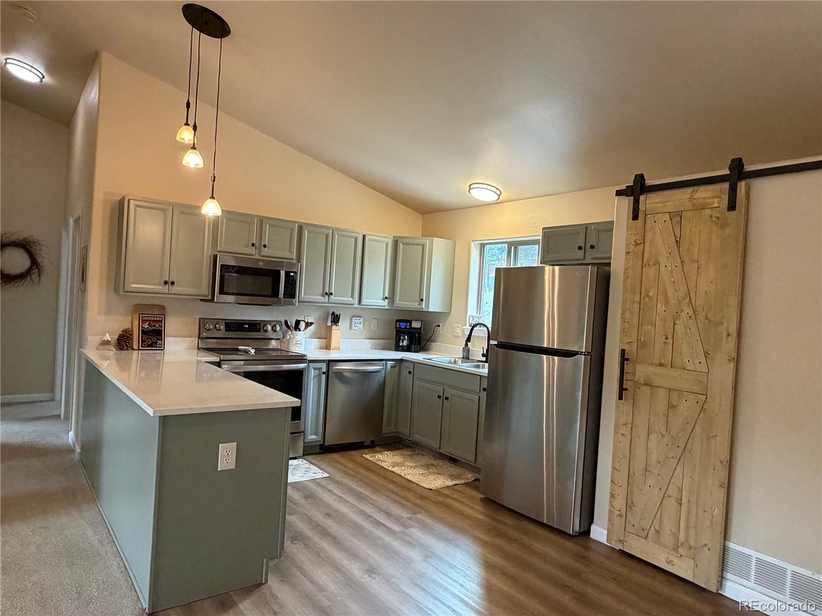 303 Virginia Road, Unit E Bailey, CO 80421 - Photo 6 of 27