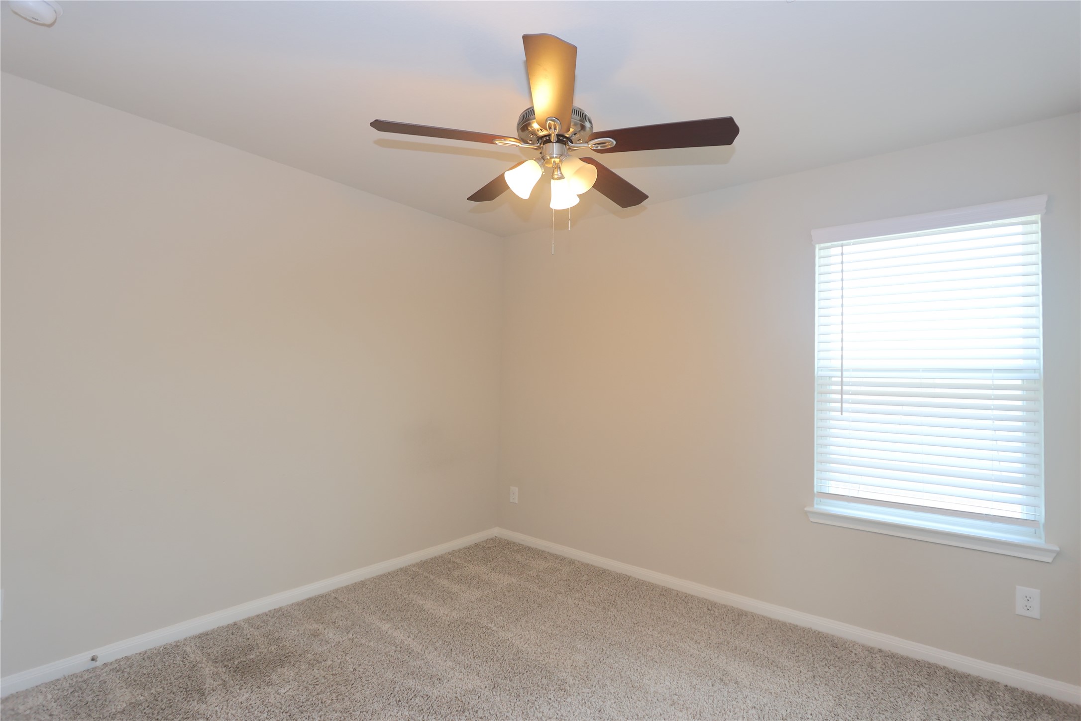 7219 Toluca Drive Rosharon, TX 77583 - Photo 3 of 21
