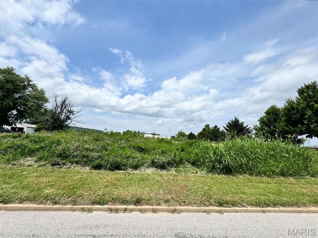 401 Brown Road St. Peters, MO 63376 - Photo 1 of 2