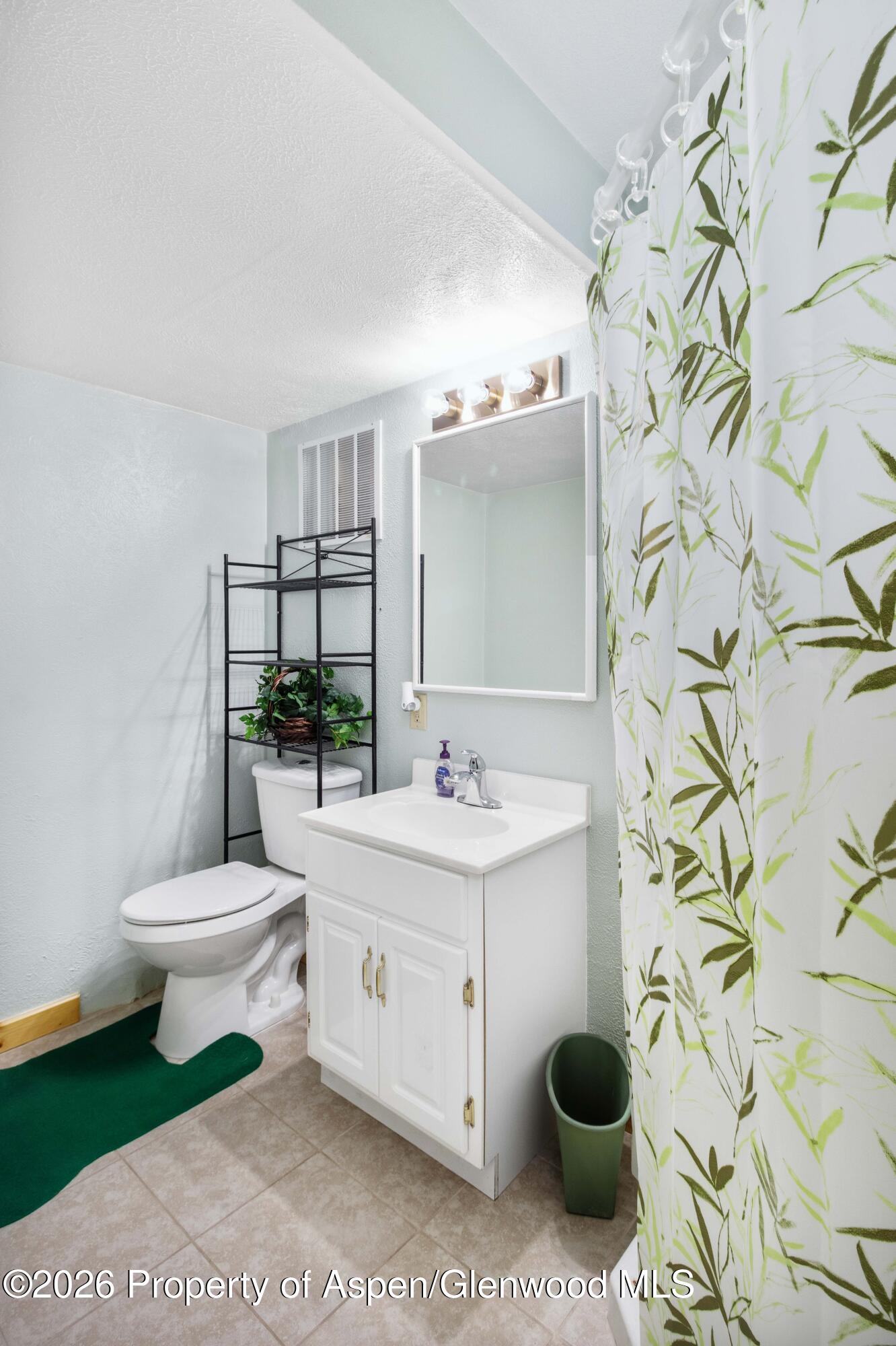 660 Aspen Avenue Rifle, CO 81650 - Photo 23 of 30 a bathroom with a toilet a sink and a mirror