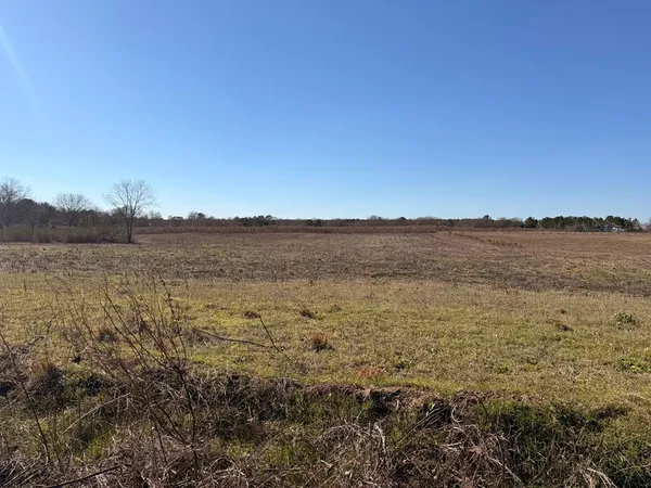 $34,500 | Lot 2 Culver Road, Newville, AL 36353