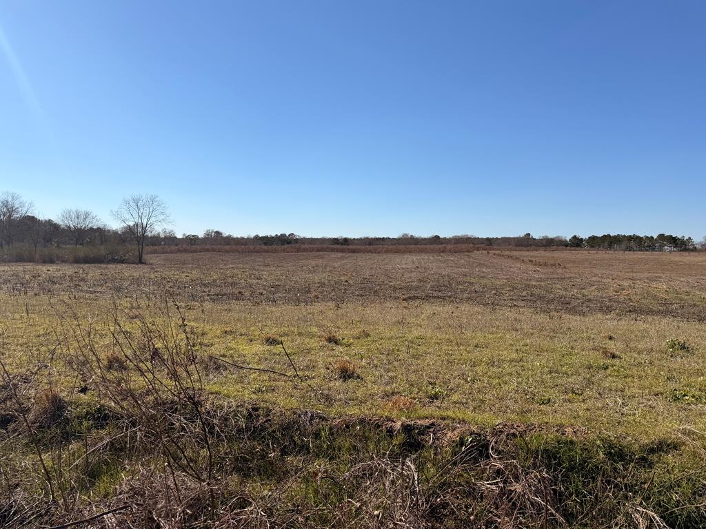 Lot 2 Culver Road Newville, AL 36353 - Photo 1 of 6 Main View