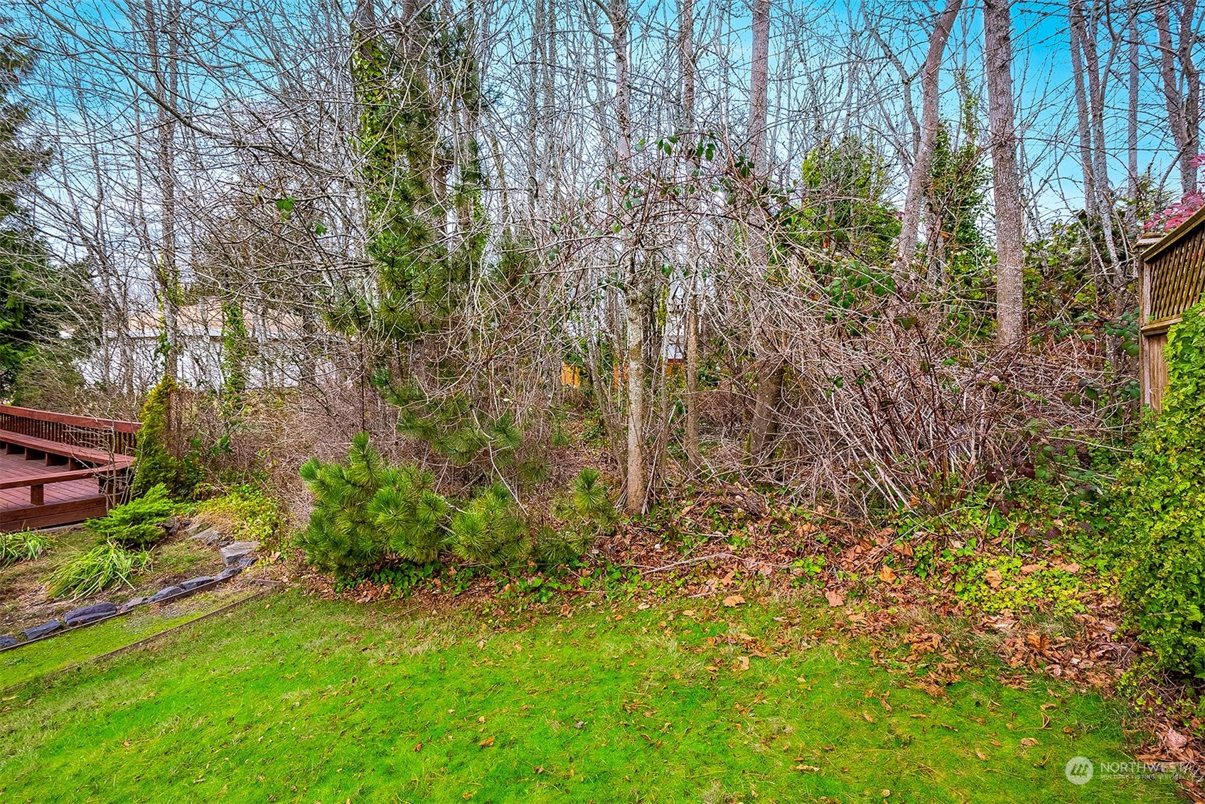 3112 Talbot Road South Renton, WA 98055 - Photo 23 of 29 a view of a yard with a tree