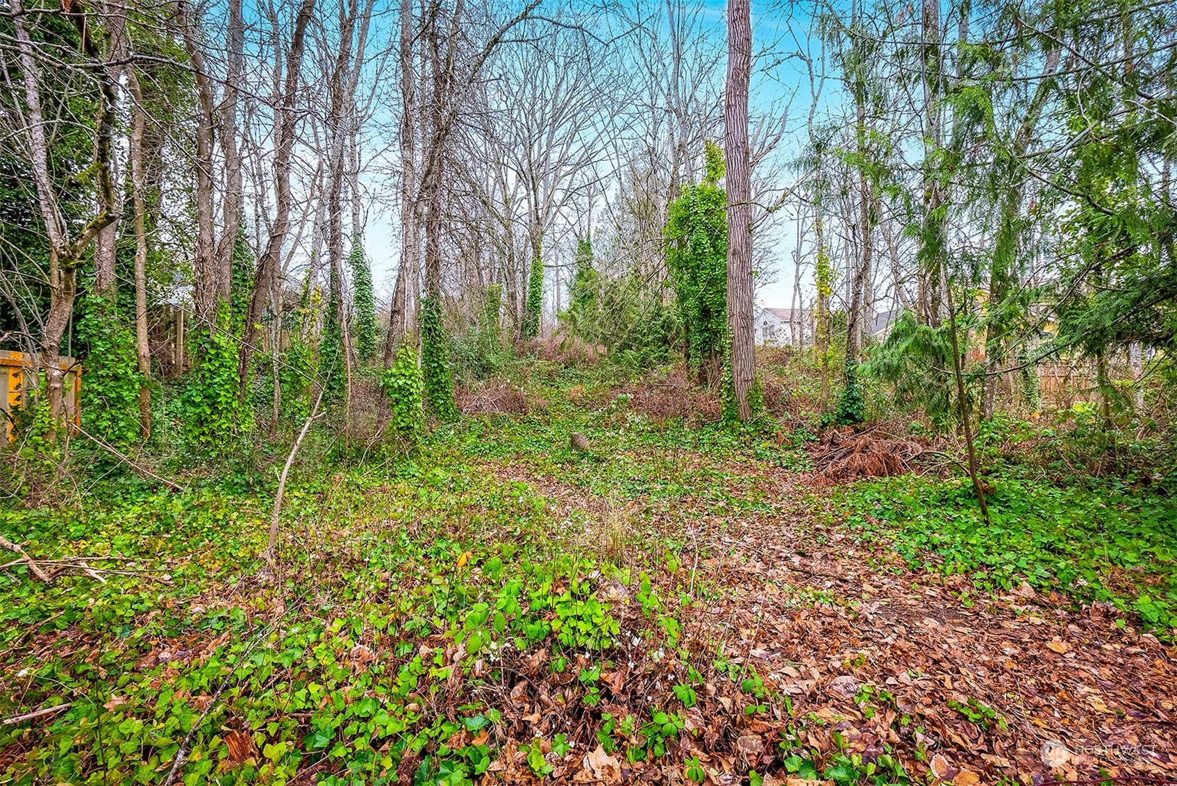 3112 Talbot Road South Renton, WA 98055 - Photo 24 of 29 a green field with lots of trees
