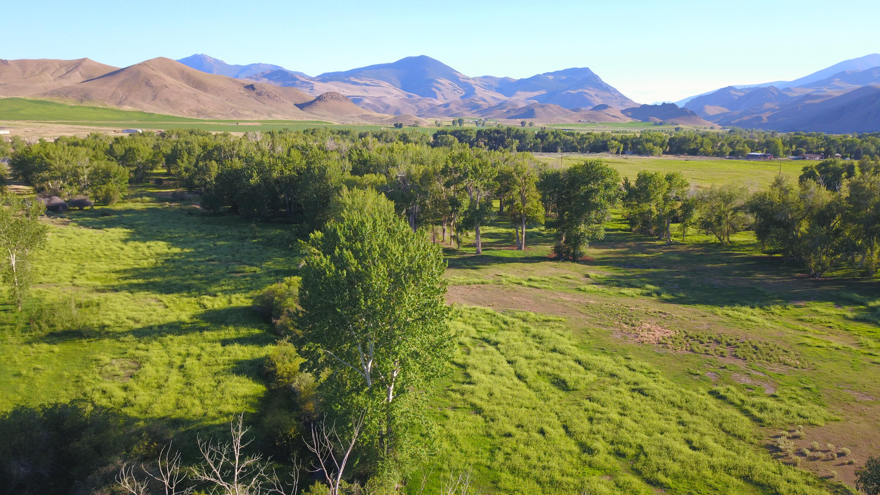 389 Wrangler Lane Challis, ID 83226 - Photo 14 of 14 DJI_0084