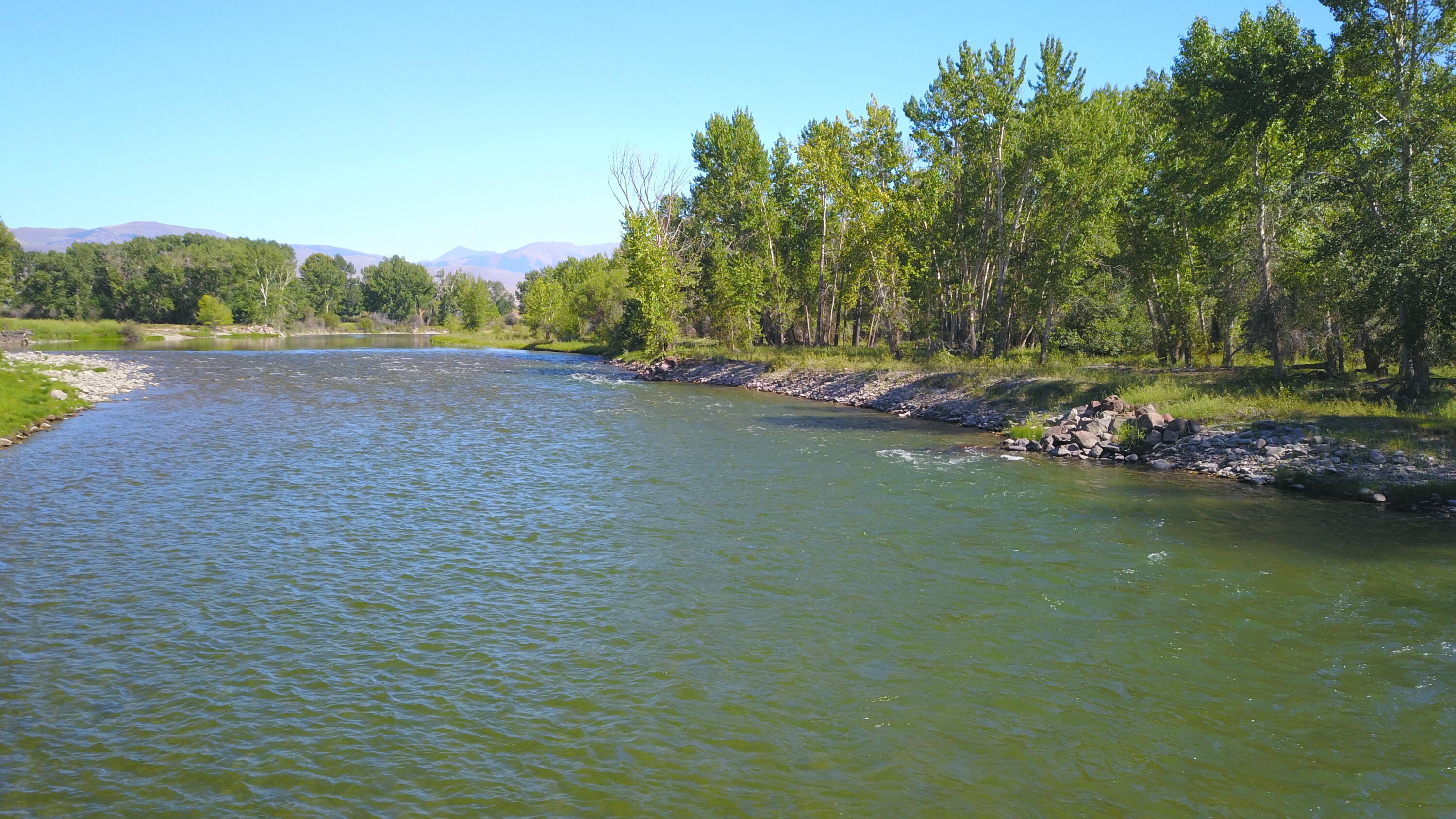 389 Wrangler Lane Challis, ID 83226 - Photo 10 of 14 DJI_0045