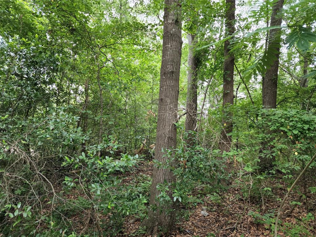 Tbd Tbd Flournoy Street Quitman, TX 75783 - Photo 2 of 3