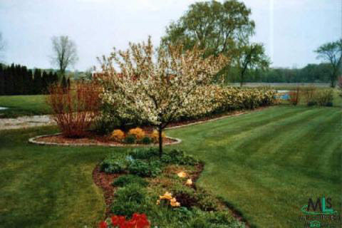 10256 Springborn Road Casco, MI 48064 - Photo 4 of 5 676667-3.JPG